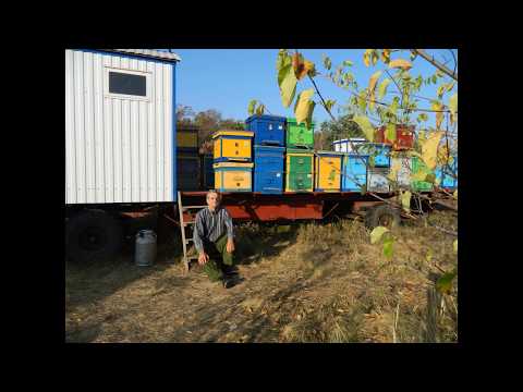 Видео: Моя пасека (Пасечный домик и его электрика)