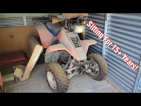 Видео: Будет ли этот Suzuki LT230 1988 года выпуска работать и ездить после более чем 15 лет простоя??? ...