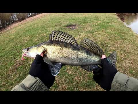 Видео: Вот это ПОДАЧА! Злющие Поклевки. Рыбалка с берега должна выглядеть так