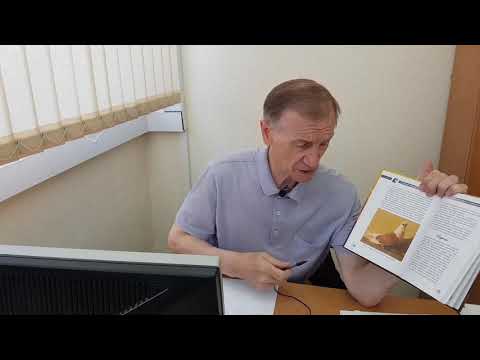 Видео: Подбор элитной охоты. Часть первая. Два пути основания и развития хозяйства.