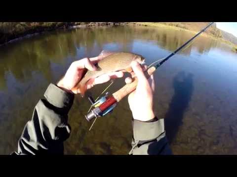 Видео: Рыбалка нахлыстом, река Песчаная. Таймень, хариус.