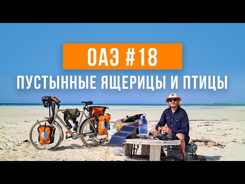 Видео: Ссылка на сезон «Эмираты» в описании Выживание в пустыне | Сад песков | Путешествие по ОАЭ #18