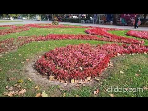 Видео: #Русе#българия #bulgaria #nature #ruse