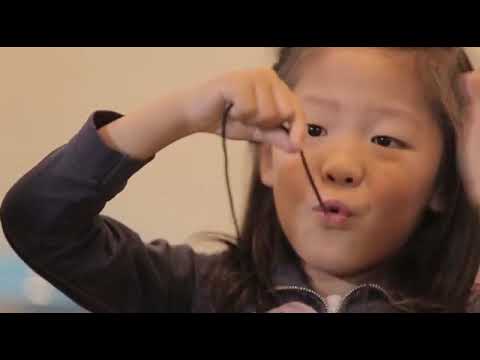 Видео: Аутизмын хүрээний эмгэгийг эрт илрүүлэх, ойлголтыг дээшлүүлэх видео хичээл