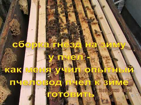 Видео: сборка гнезд на зиму у пчел  - как меня учил опытный пчеловод пчел к зиме готовить