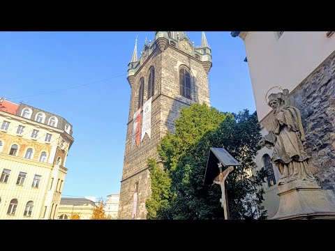 Видео: 1  542.ВЕЖА СТОРОЖЕВА