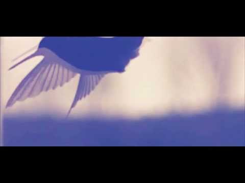 Видео: Рем Дигга - Настя