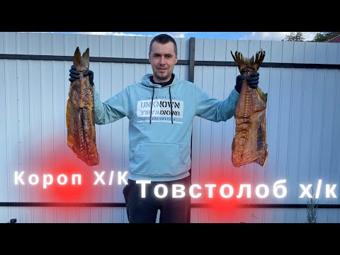 Видео: Товстолоб  та Короп холодного копчення // в'ялено копчена ікра