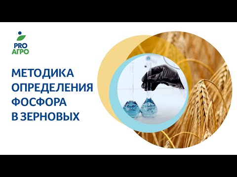 Видео: Лабораторные исследования зерновых - определение содержания фосфора методом спектрофотометрии