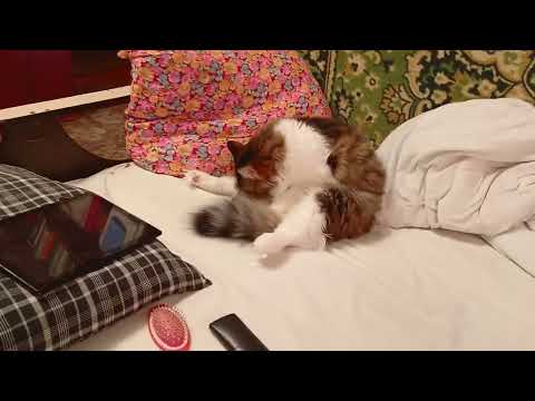 Видео: Здравствуйте, Друзья. Немного о себе ☺️