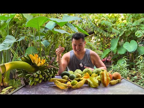 Видео: Тропические фрукты на заднем дворе Центральной долины Калифорнии