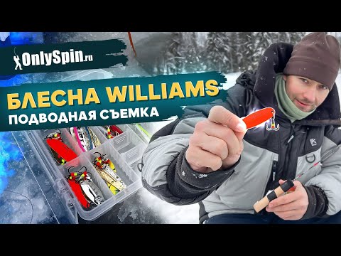 Видео: РЕАКЦИЯ РЫБА на блесну WILLIAMS. ПОДВОДНАЯ СЪЕМКА. Рыбалка с #OnlySpin