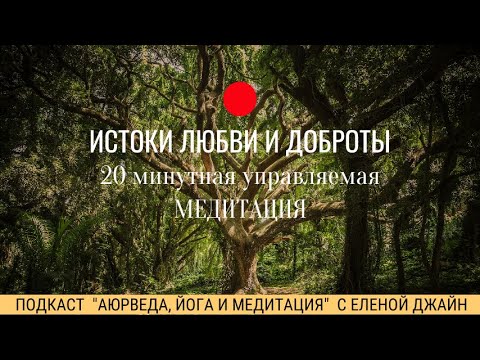 Видео: Истоки Любви и Доброты: Управляемая 20-минутная Медитация | Елена Джайн