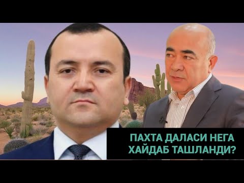 Видео: БЕКОБОД ТУМАНИ НИЗОНИ ЕЧА ОЛАДИМИ ЙУКМИ?   22-Oktyabr, 2025