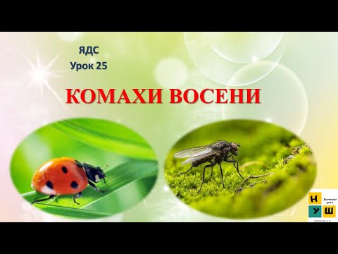 Видео: ЯДС 2 клас Урок 25 КОМАХИ ВОСЕНИ ЯДС Жаркова