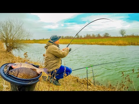 Видео: ОГРОМНЫЕ КАРАСИ ГНУТ МОЮ УДОЧКУ, ЭТО ЖОР КРУПНЯКА ПОСЛЕ ЗИМЫ! РЫБАЛКА НА ПОПЛАВОК И ДОНКИ!