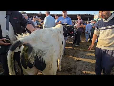 Видео: 14 сентябр 