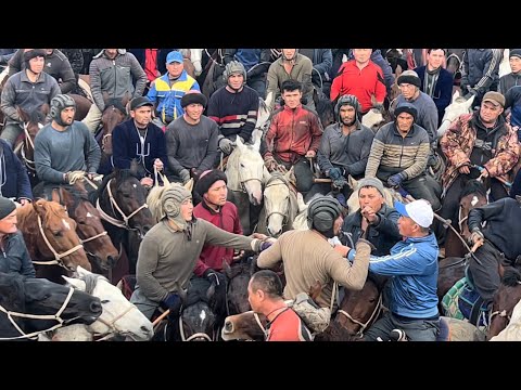 Видео: Чиял Хикки палвон нега норози