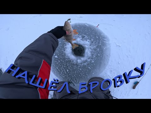 Видео: ЛЕЩ, ОКУНЬ, СОРОГА ПО ПЕРВОЛЁДКУ | ЗНАМЕНСКИЙ ЗАЛИВ КВХ