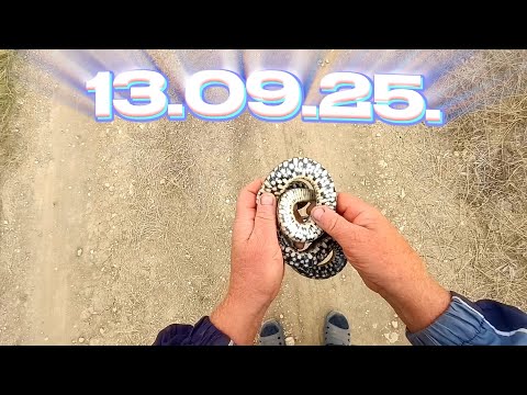 Видео: #ПРЕСМЫКАЮЩИЕСЯ ещё не попрятались, значит тепло и не время для #АКТИВНОГО окуня.