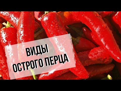 Видео: Острый перец | Виды и особенности