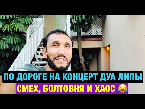 Видео: Этот день должен был быть обычным, пока не вмешалась Дуа Липа 😂