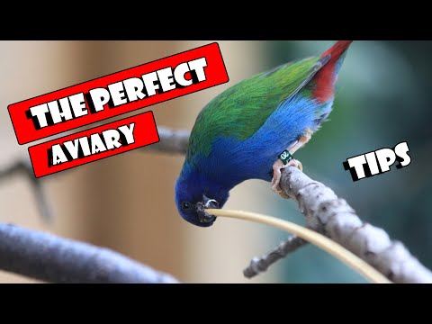 Видео: Строим идеальный ВОЛЬЕР.