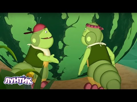 Видео: 🔴 Лунтик | Арбузный день 🍉🍉🍉 Мультики для детей | ЭФИР