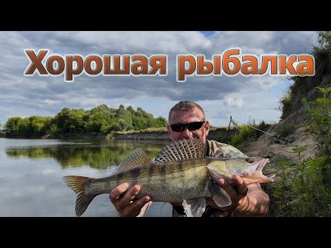 Видео: Рыбалка с ночёвкой. Судак, щуки и СОМёнок