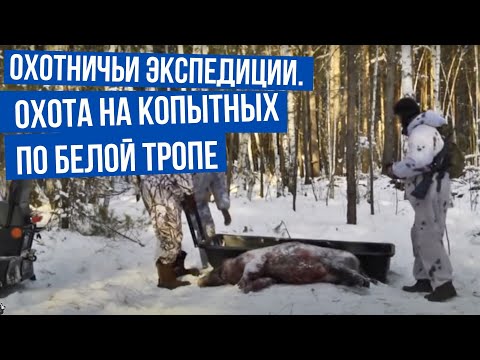 Видео: Охота на копытных по белой тропе \ Охотничьи экспедиции. Сезон 1.