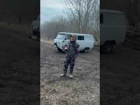 Видео: Липецкие областные состязания гончих собак по з/р 2024 г.