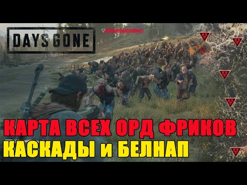 Видео: Days Gone карта орд/days gone все орды КАСКАДЫ/days gone все орды БЕЛНАП/Days Gone карта мира!!!