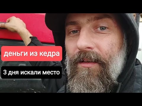Видео: Первая серия. Заработок на кедровых шишках.
