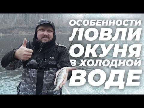 Видео: Особенности ловли окуня в холодной воде