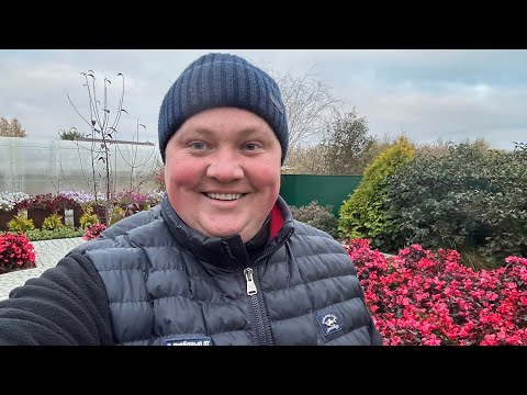 Видео: Осенняя заправка и обработка теплицы! 😍🍅🍆🥬