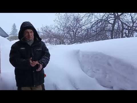 Видео: Сыр плавленый сладкий как Омичко. А снег летит.