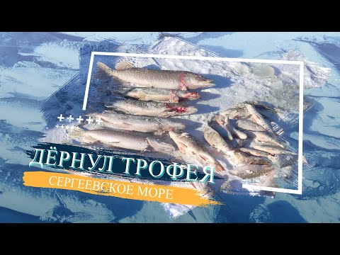 Видео: ОГРОМНЫЕ ОКУНИ И КРУПНАЯ ЩУКА В ГЛУХОЗИМЬЕ
