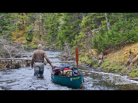 Видео: 4-дневный поход на каноэ. Исследование и рыбалка в новой стране: редкие встречи с дикими животным...
