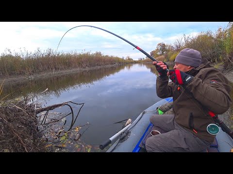 Видео: ВОЛОСИ ДИБОМ.ВЕЛИКІ РИБИ ТЯГНУТЬ МЕНЕ У ВОДУ.Рибалка на боковий кивок