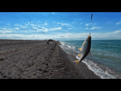 Видео: Рыбалка на Капчагайском водохранилище: Насосная станция 5