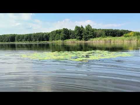 Видео: Белое Озеро. Лысогорский район.