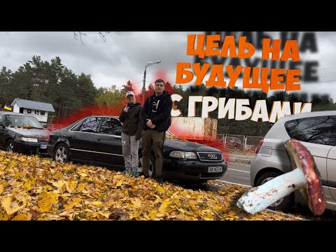 Видео: ПОЕХАЛИ ЗА ГРИБАМИ! РАССКАЗАЛИ ЦЕЛЬ НА БУДУЩЕЕ!! Удачный поход за грибами!