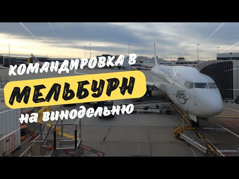 Видео: КОМАНДИРОВКА В МЕЛЬБУРН на ВИНОДЕЛЬНЮ