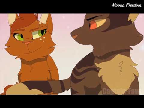 Видео: Коты Воители - Ты знаешь кто мой папа?