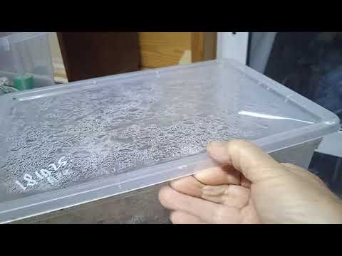 Видео: ОСЕННИЙ  САД  ВЕЧЕРОМ.  ХРАНИЛИЩЕ.... 