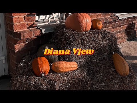 Видео: Готовлю тыквенный суп | pumpkin soup🫕 | фрикадельки в томатном соусе🥫