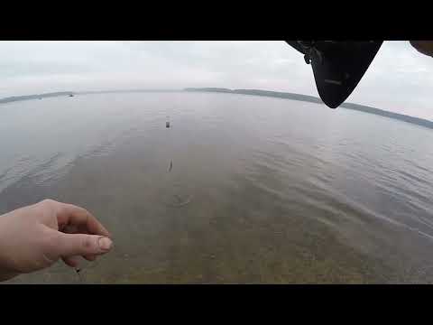 Видео: ЗАКРЫЛ 2024 СЕЗОН НА КАУНАССКОМ МОРЕ.