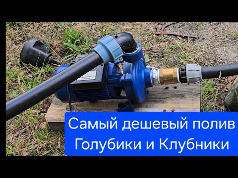 Видео: Электронасос для полива [450л/мин] / Самый дешевый полив для Голубики и Клубники