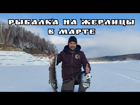 Видео: Рыбалка на жерлицы в марте.