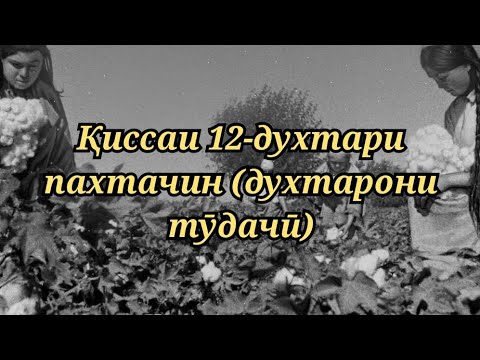 Видео: Убайдуллои Каромат - Духтарони тудачӣ